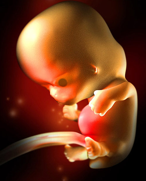 Chào đón chàng quý tộc nhỏ bé đầu tiên của gia đình là một cảm xúc khó diễn tả. Xem hình ảnh siêu âm em bé 8 tuần này sẽ giúp bạn chứng kiến sự phát triển của bé trong bụng mẹ và đón nhận cảm xúc đẹp tuyệt vời.