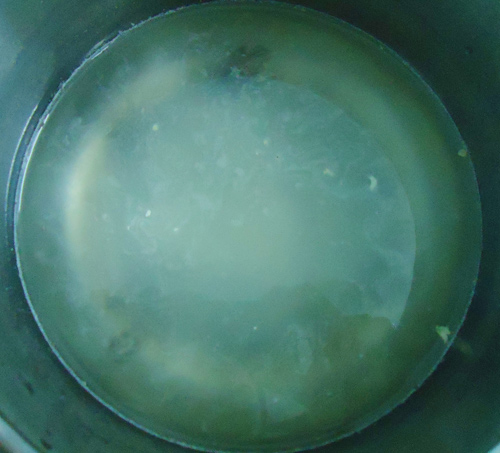 banh trung thu rau cau ngu sac dep me ly - 2