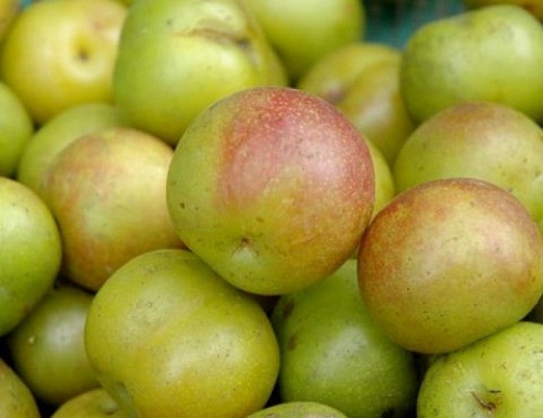 Những loại trái cây trung quốc dễ đội lốt nhãn mác việt nam