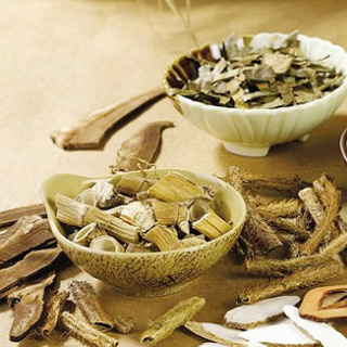 Chữa vô sinh bằng đông y