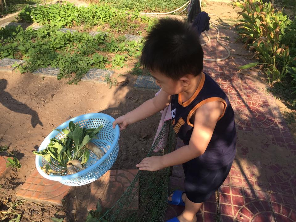 Con trai lê phương trồng rau bắt sâu con hồng nhung lội bùn cấy lúa