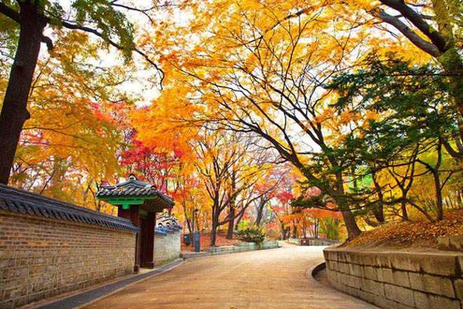 Với những cảnh quan đẹp như tranh, ẩm thực tuyệt hảo và văn hóa phong phú, du lịch Hàn Quốc sẽ là chuyến đi đáng nhớ cho bạn. Hãy cùng khám phá những điểm đến nổi tiếng như Seoul, Jeju, Busan hay chỉ đơn giản là tham gia vào các chương trình trải nghiệm độc đáo của đất nước này.