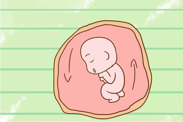Sự phát triển của thai nhi trong bụng mẹ: Thai nhi biết làm gì ...
