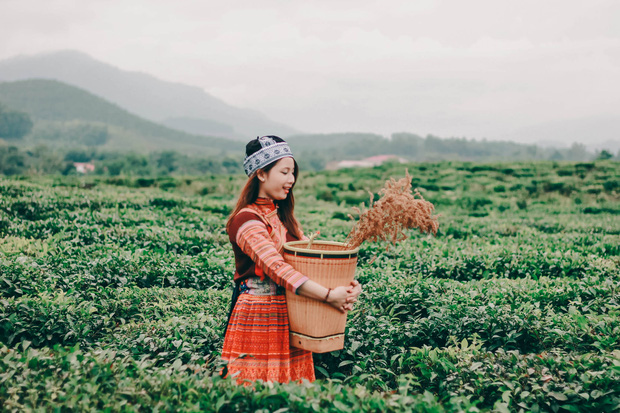 Cô Gái Sa Pa Xinh Đẹp Được Hỏi Cưới Với Giá 100 Ngàn Khiến Dân Mạng Săn  Lùng Danh Tính