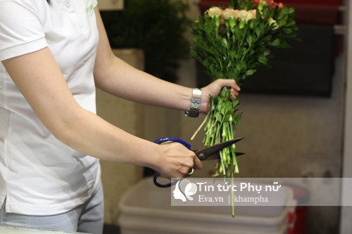 4 bước gói hoa cẩm chướng đơn giản tặng người thân yêu