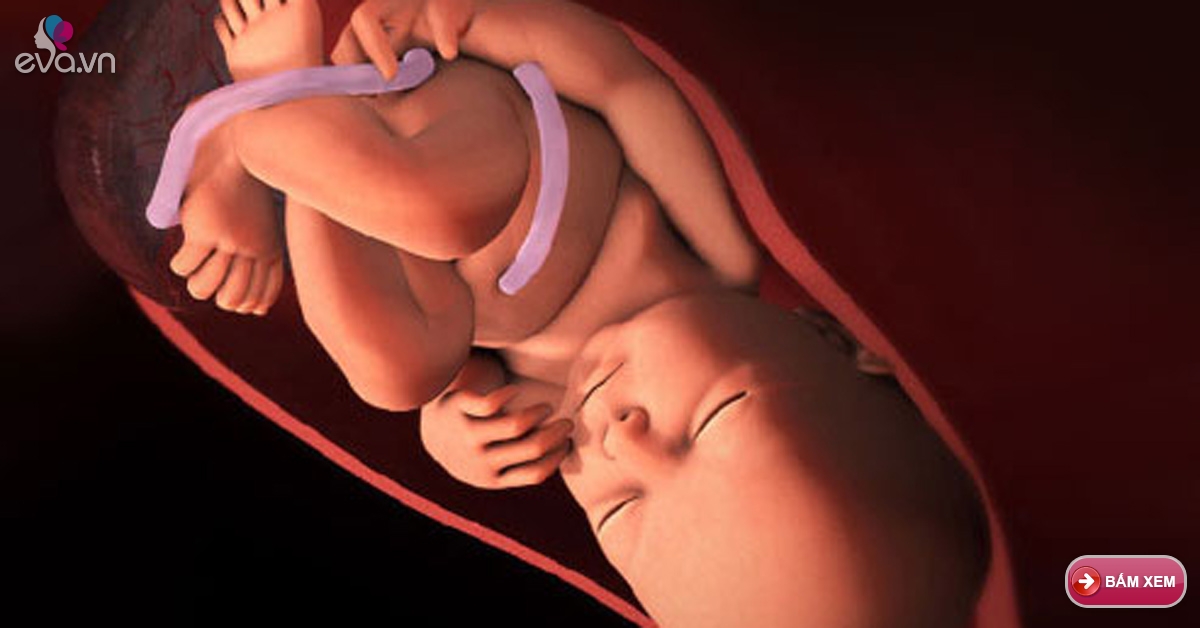38 неделя активно шевелится. Шевеления ребёнка в животе. Ребёнок в животе у мамы 30 недель. Ребёнок на 25 неделе беременности.