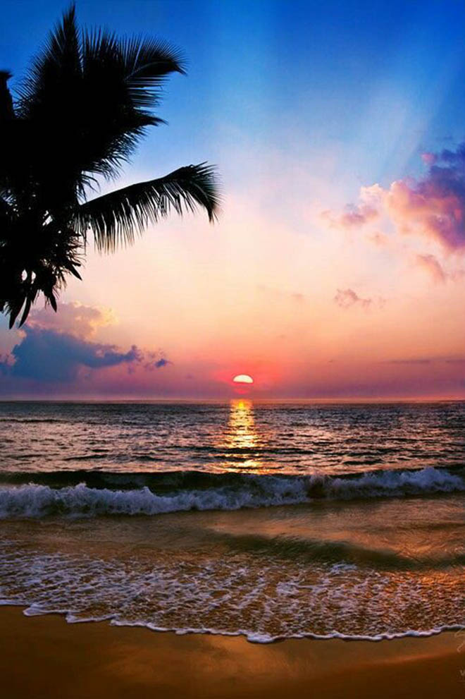 Mặt trời lặn là một trong những cảnh tượng đẹp nhất mà bạn có thể bắt gặp khi đến đảo ngọc Phú Quốc. Hình ảnh này sẽ mang đến cho bạn những giây phút lãng mạn, đong đầy tình cảm và đầy kỷ niệm.