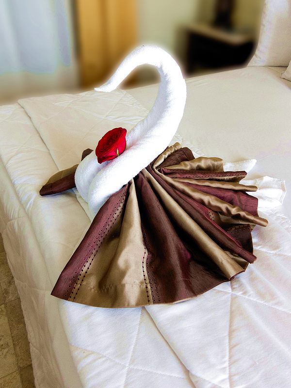 Tự tay gấp chim thiên nga bằng khăn tắm tuyệt đẹp cho giường cưới - 13